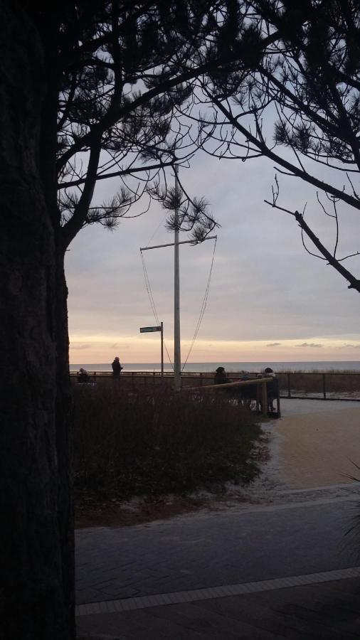 *Strandaster* In Zingst - 100 M Bis Strand, Ruhig, Zentral. Bagian luar foto