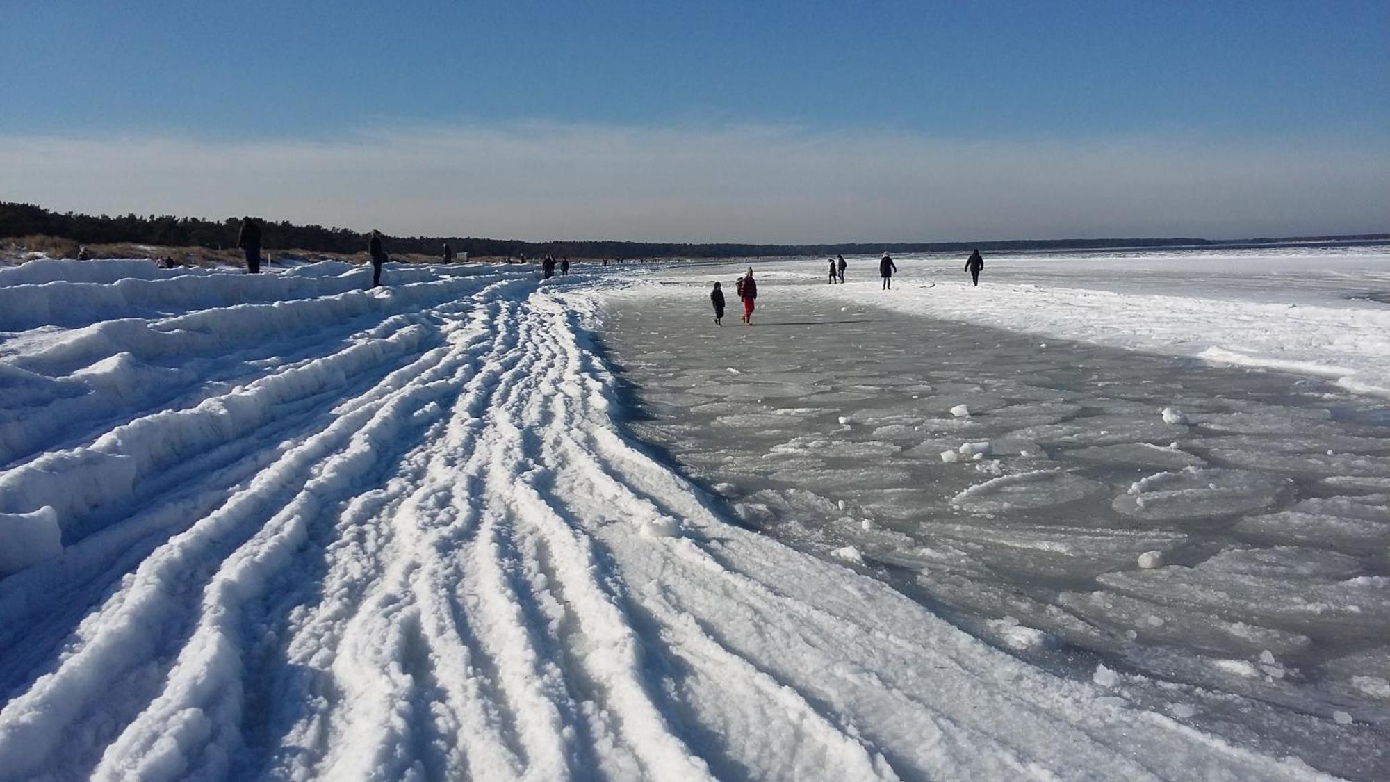 *Strandaster* In Zingst - 100 M Bis Strand, Ruhig, Zentral. Bagian luar foto